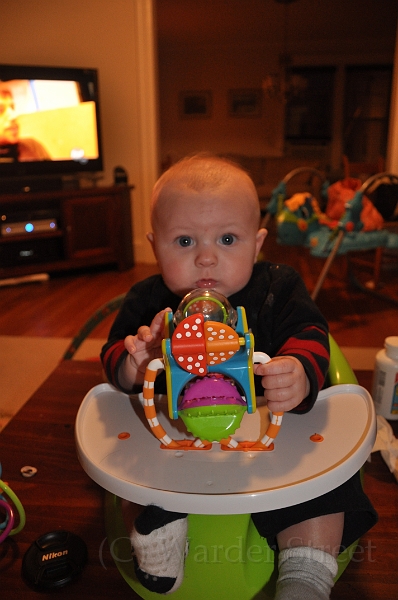 William's Twentieth Week 04.jpg